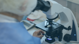 Eliava • Diagnostic Center