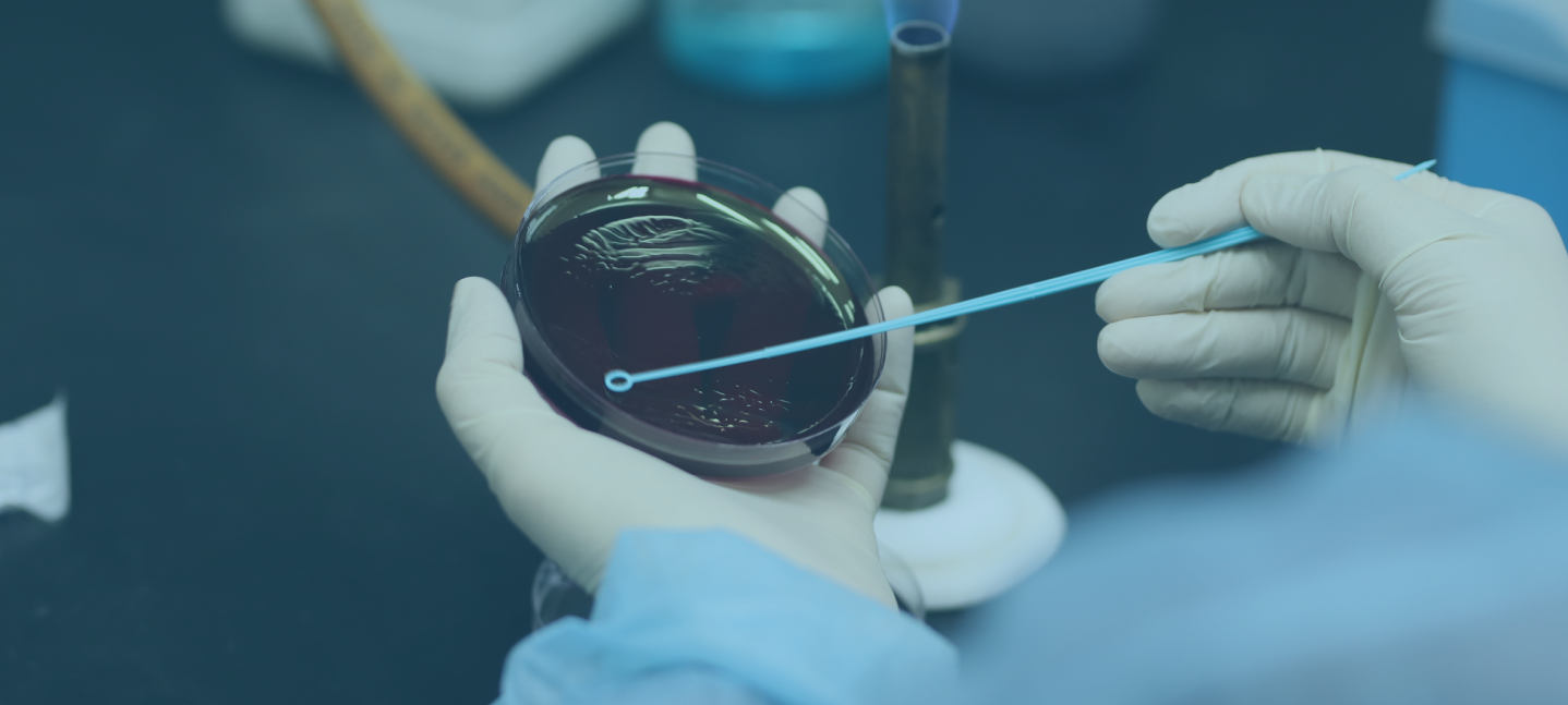 რა საფრთხეს უქმნის მსოფლიოს ანტიბიოტიკორეზისტენტობა და რა არის გამოსავალი?