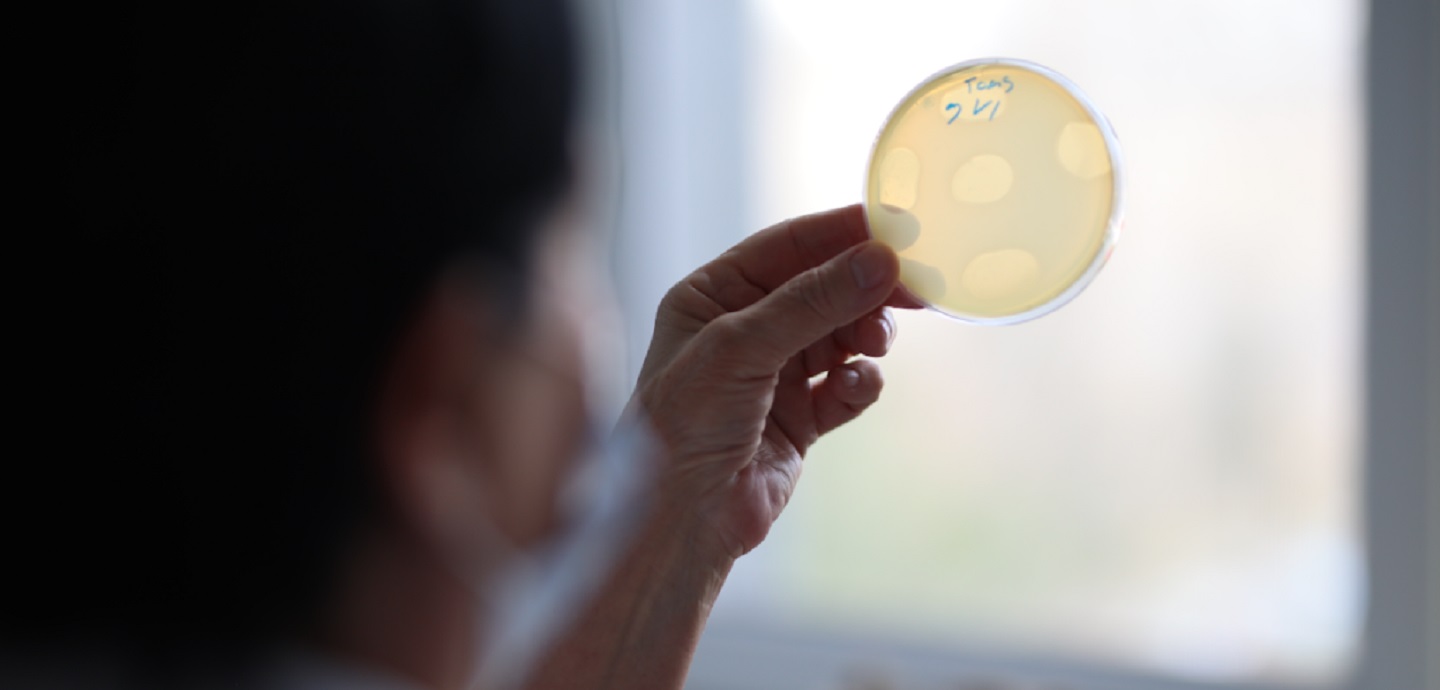 ბელგიელი ქალის ისტორია, რომელიც თბილისში აღმოჩენილმა ბაქტერიოფაგმა გადაარჩინა