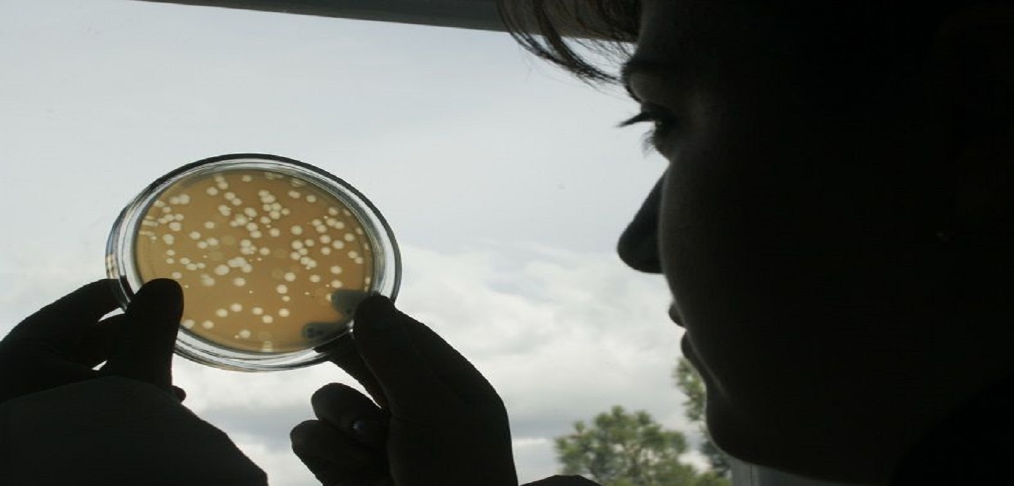 Commerciallzing Science : Story Of The Phage