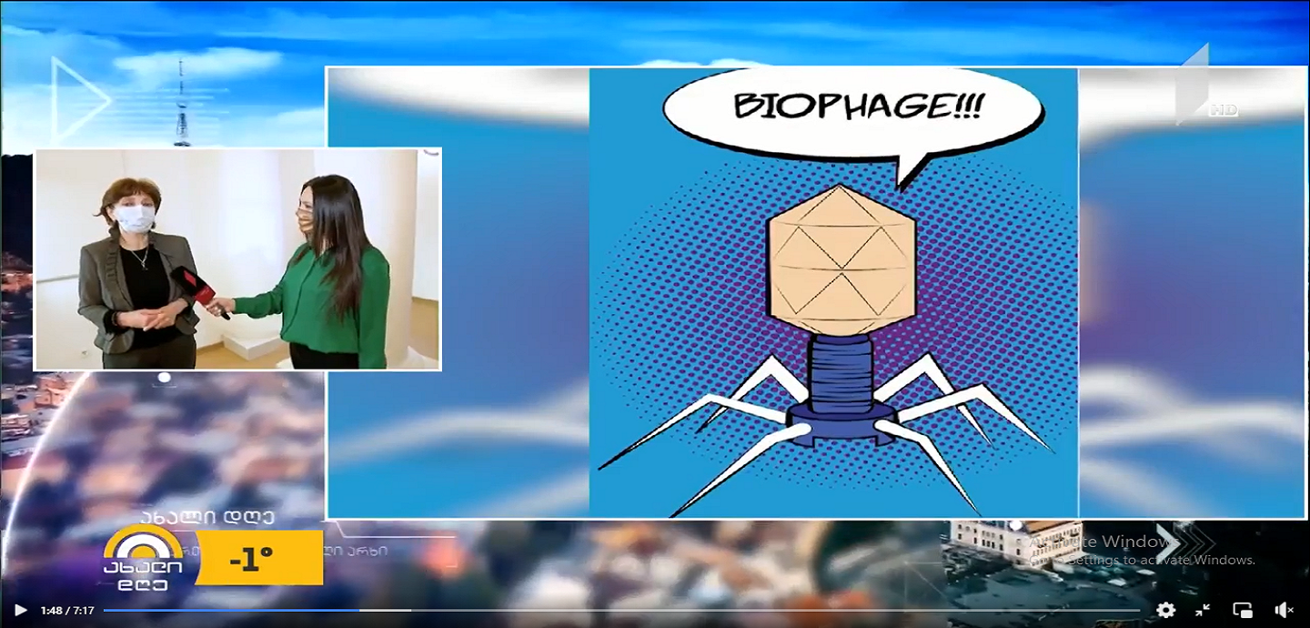 (GE) რა არის ფაგი?🦠 – კეთილი ვირუსები ბუნებაში💚 პროექტი სამხატვრო აკადემიის სტუდენტებისთვის🖌🎨