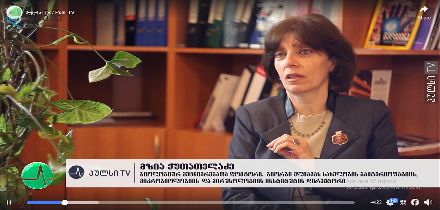 რა არის ფაგი